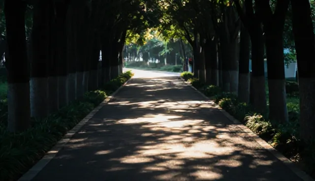 基础提示词包